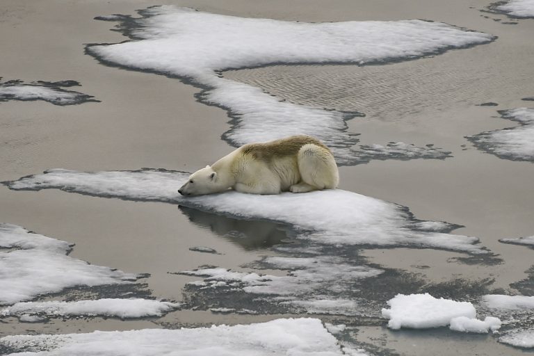 Planet ‘on the brink’, with new heat records likely in 2024: UN