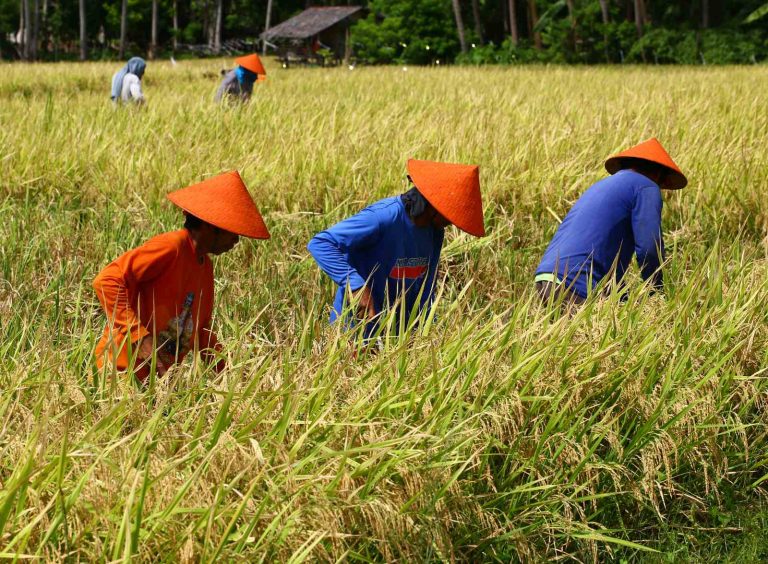 House OKs bill on RTL amendments on 2nd reading