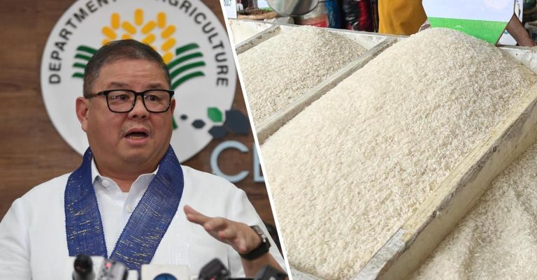 DA sees lower rice prices starting June