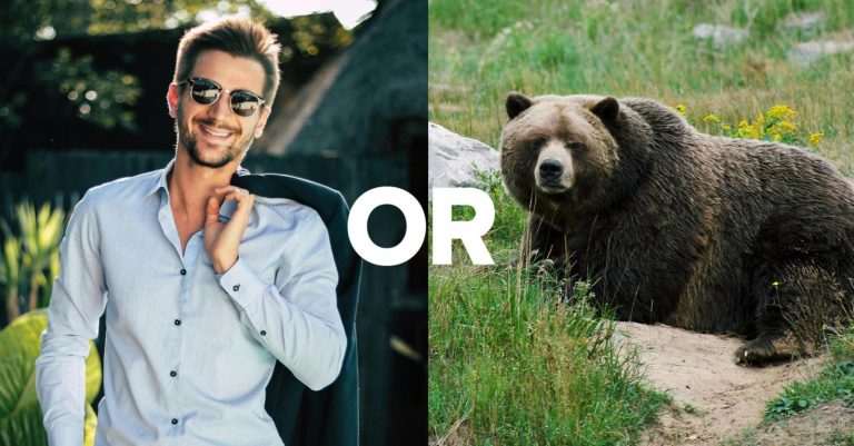 Men or bears? Women’s safety debate pops on social media