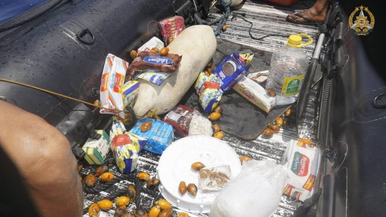 AFP: Ayungin Shoal resupply successful despite Chinese interference