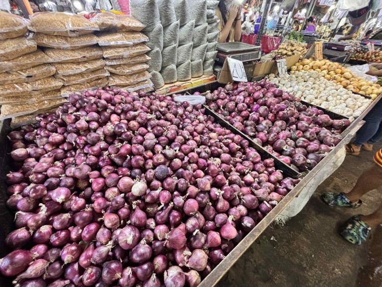 DA extends import ban on red onions in August amid stable supply