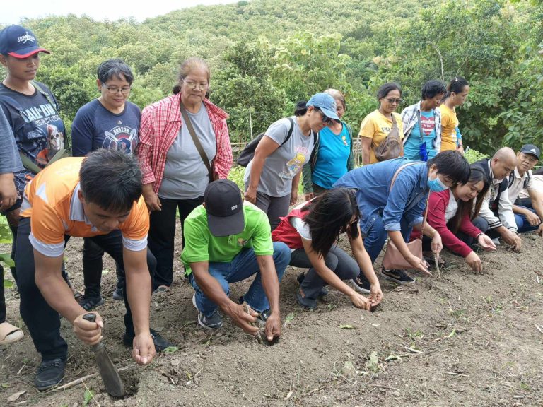 Project LAWA, BINHI among best practices vs. climate change: UN