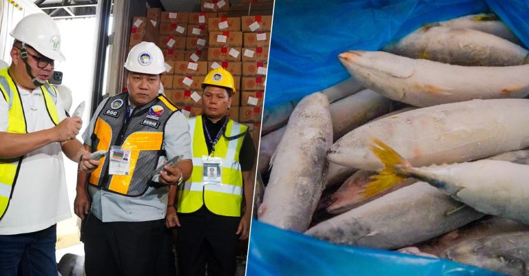 BOC intercepts P178.5-M smuggled frozen mackerel from China