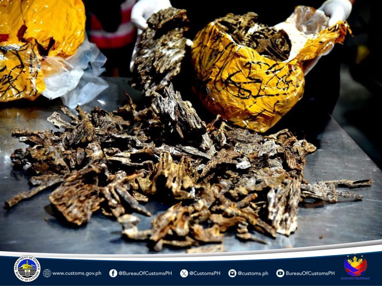 P4.2 million worth of rare agarwood seized by BOC-NAIA