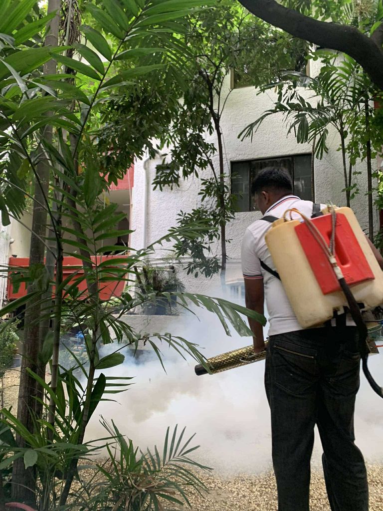 DOH records 8% drop in dengue cases nationwide in mid-October
