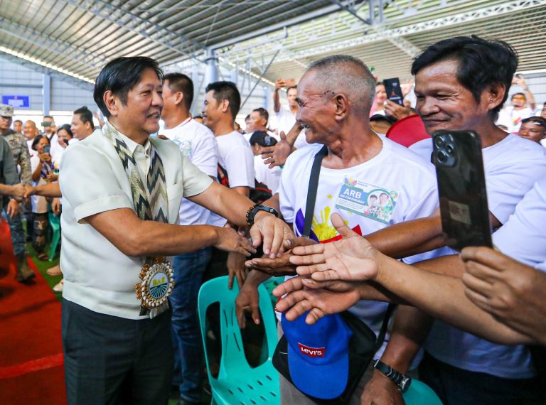 Palace: Gov’t performance not solely confined to surveys