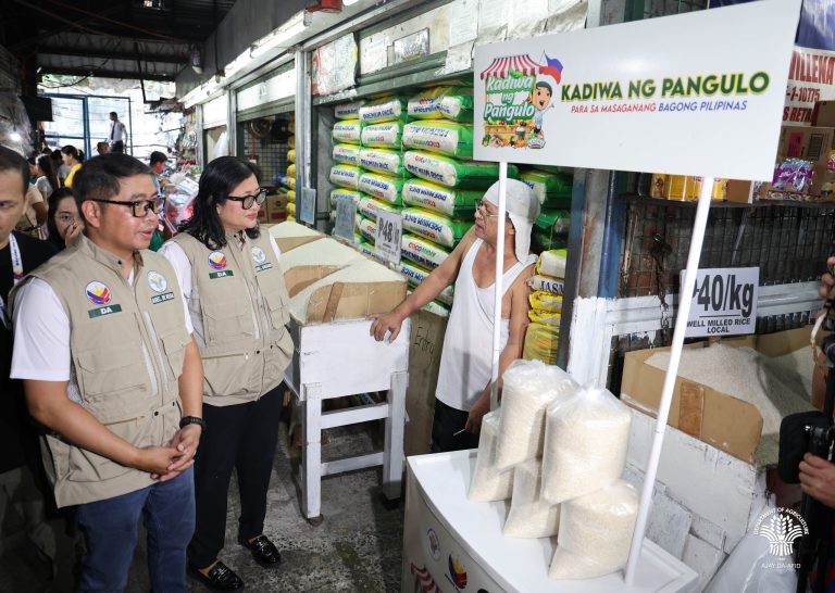Kadiwa stores to hit 1,500 nationwide by 2028 – Palace
