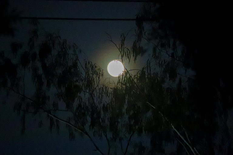 ‘Longest night’ of the year will be on Dec. 21 — PAGASA