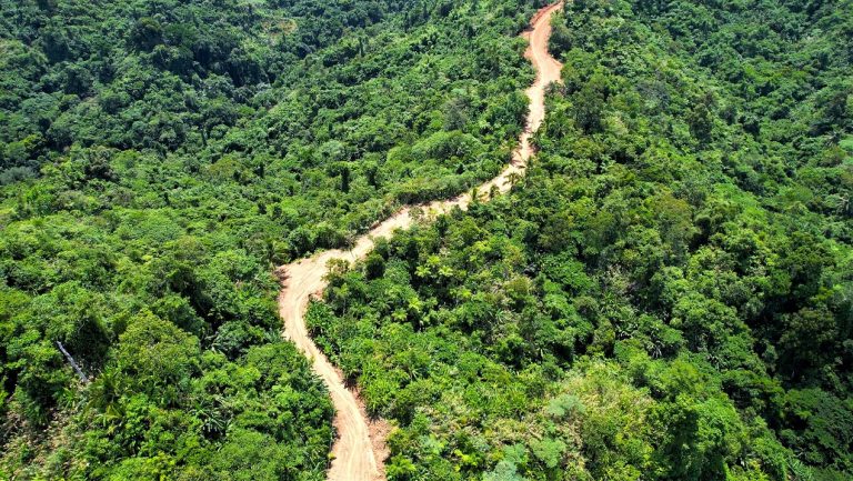 Newly completed roads to benefit locals in Samar