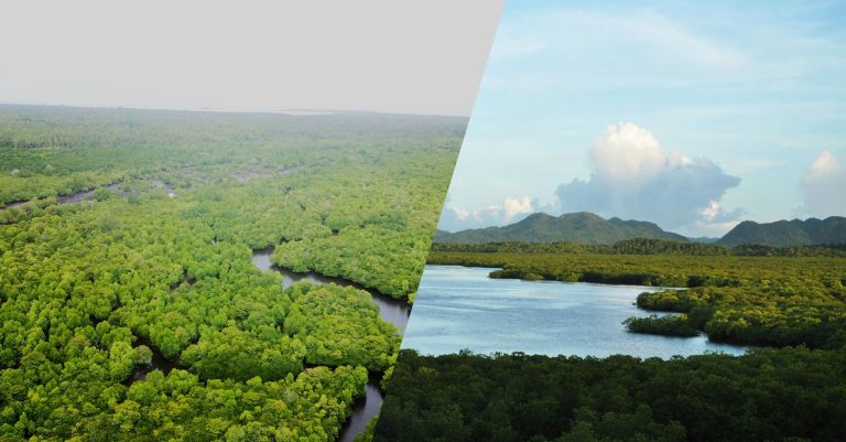 Two PH wetlands now recognized as 9th and 10th PH “Ramsar sites”