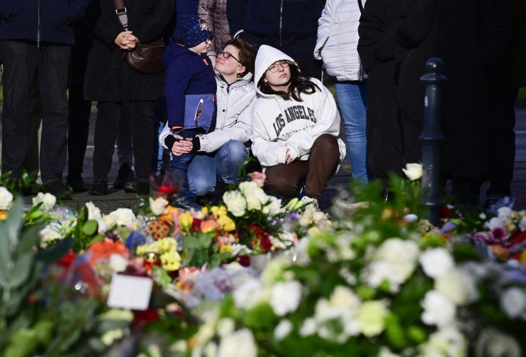 Germany pledges security inquest into Christmas market attack