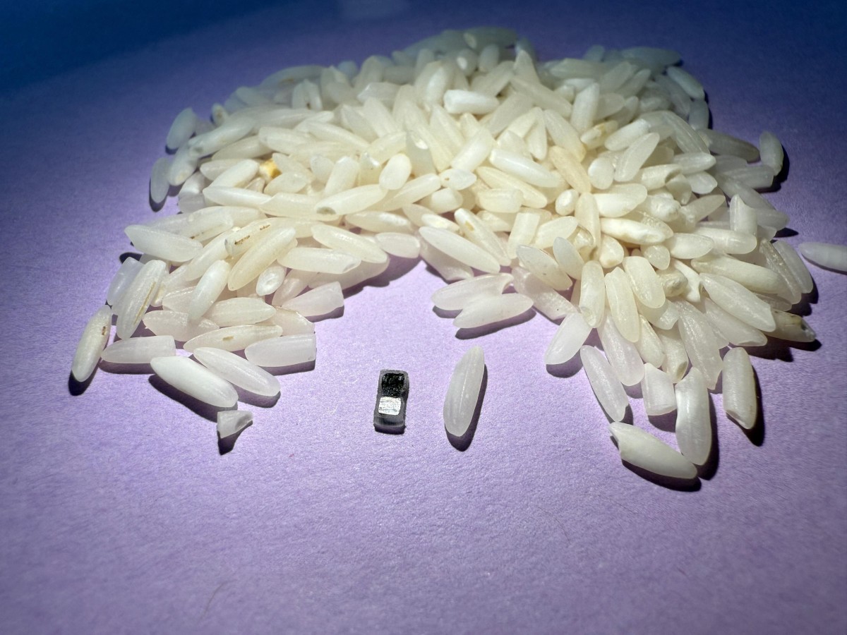 World’s tiniest pacemaker is smaller than grain of rice