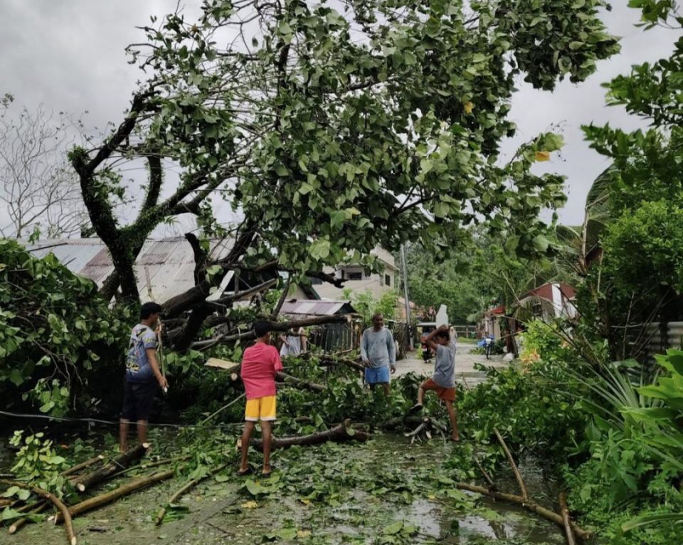 577845559_1240322398144212_6726336420196340794_n (crop)