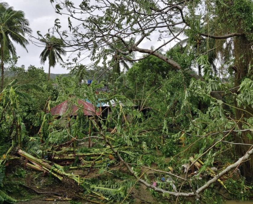 Combined deaths due to Tino, Uwan near 300