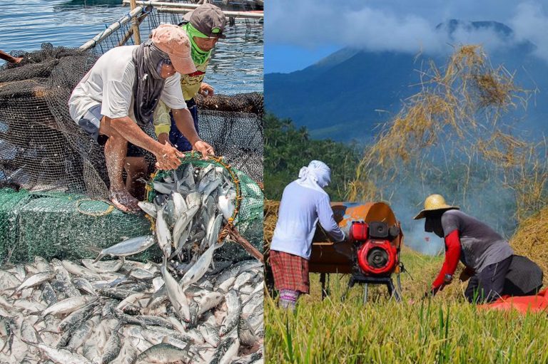 P10-B aid for farmers, fishers to be released April 15