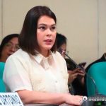 Vice President Sara Duterte