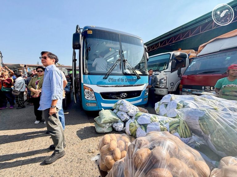 Gov’t to sustain measures to support agri sector amid energy emergency —PBBM
