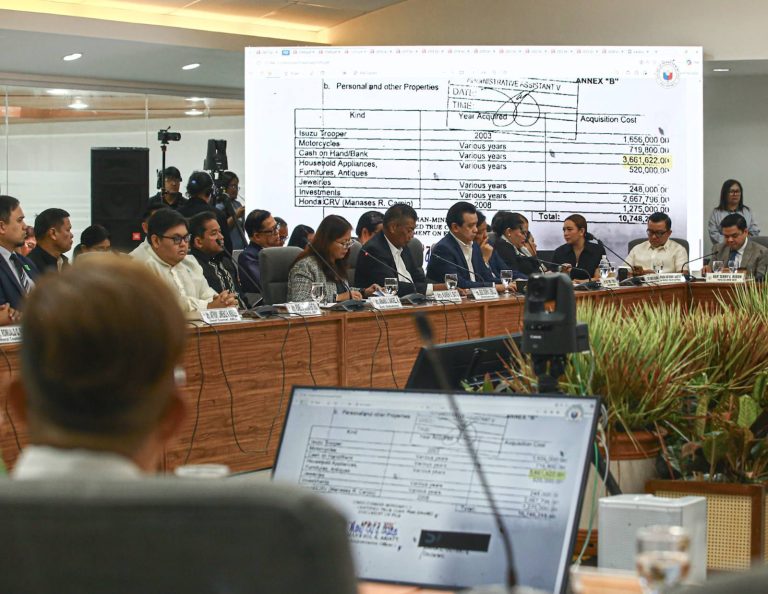 Litigator notes existence of probable cause to impeach VP Sara