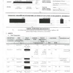 L2992 SALN 2019 – VP Sara_1_page-0001