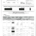 L2992 SALN 2020 – VP Sara_1_page-0001