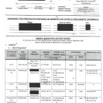 SALN 2024 – VP Sara_2_page-0001