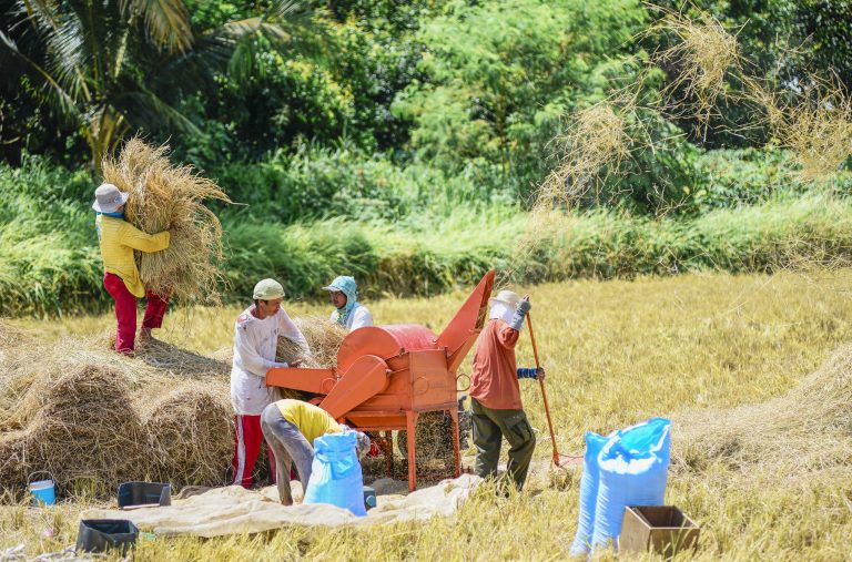 D.A. to break ground for PH’s 1st fertilizer plant before year-end