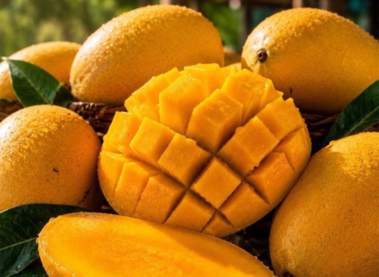 PHLPost brings world-renowned Guimaras mangoes to Metro Manila, Metro Cebu