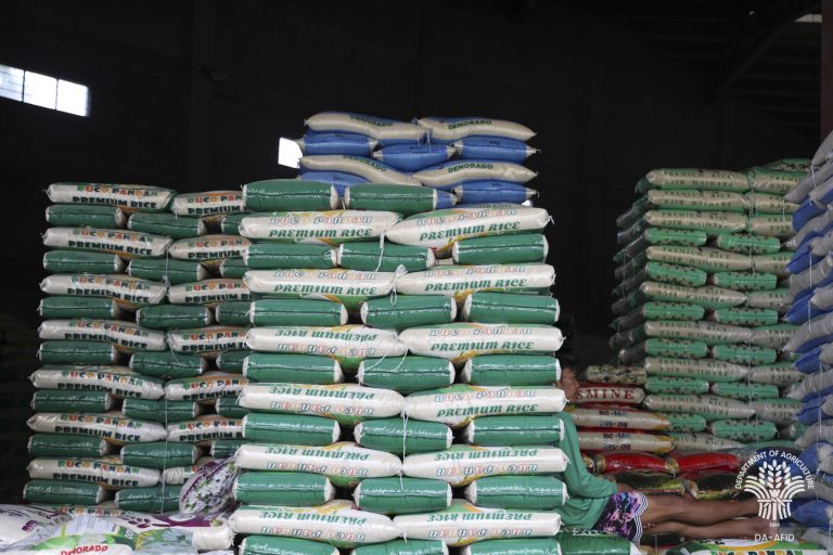 PBBM imposes P50/kg price cap on imported rice