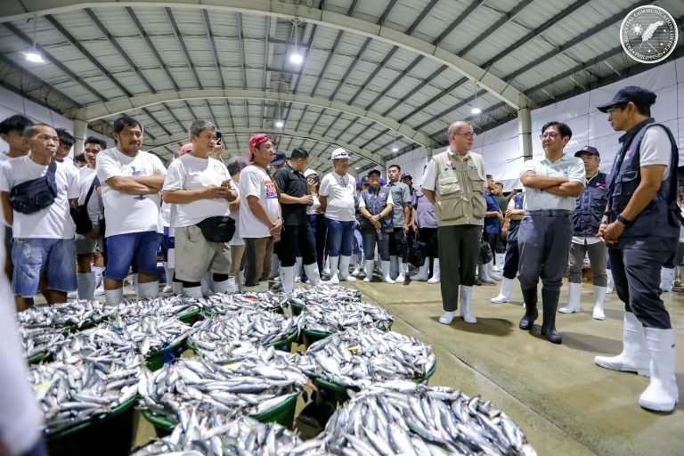 PBBM inspects progress of improvement, rehab works in Navotas Fish Port Complex