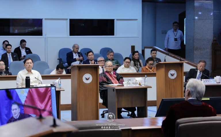 Amici curiae share legal inputs on VP impeachment voting threshold