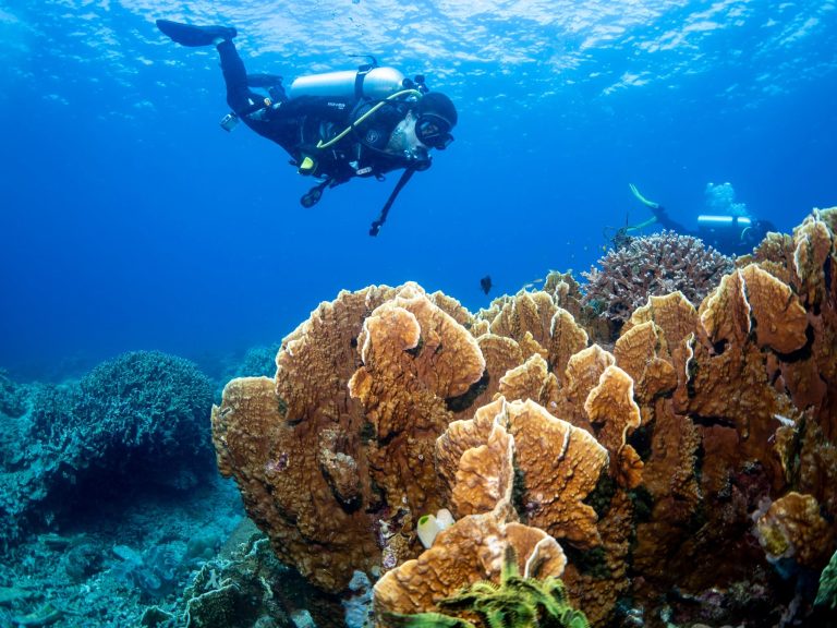 PH retains title as Asia’s Leading Dive Destination, bags 6 other Asia wins