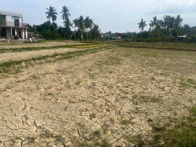 What you need to know about the super El Niño phenomenon