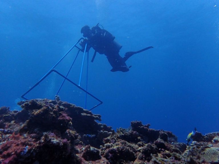 DENR taps weather stations, satellite data to prepare for El Niño impact